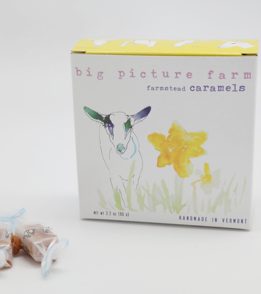 Daffodil Goat Milk Caramel Box: All 8 Flavors