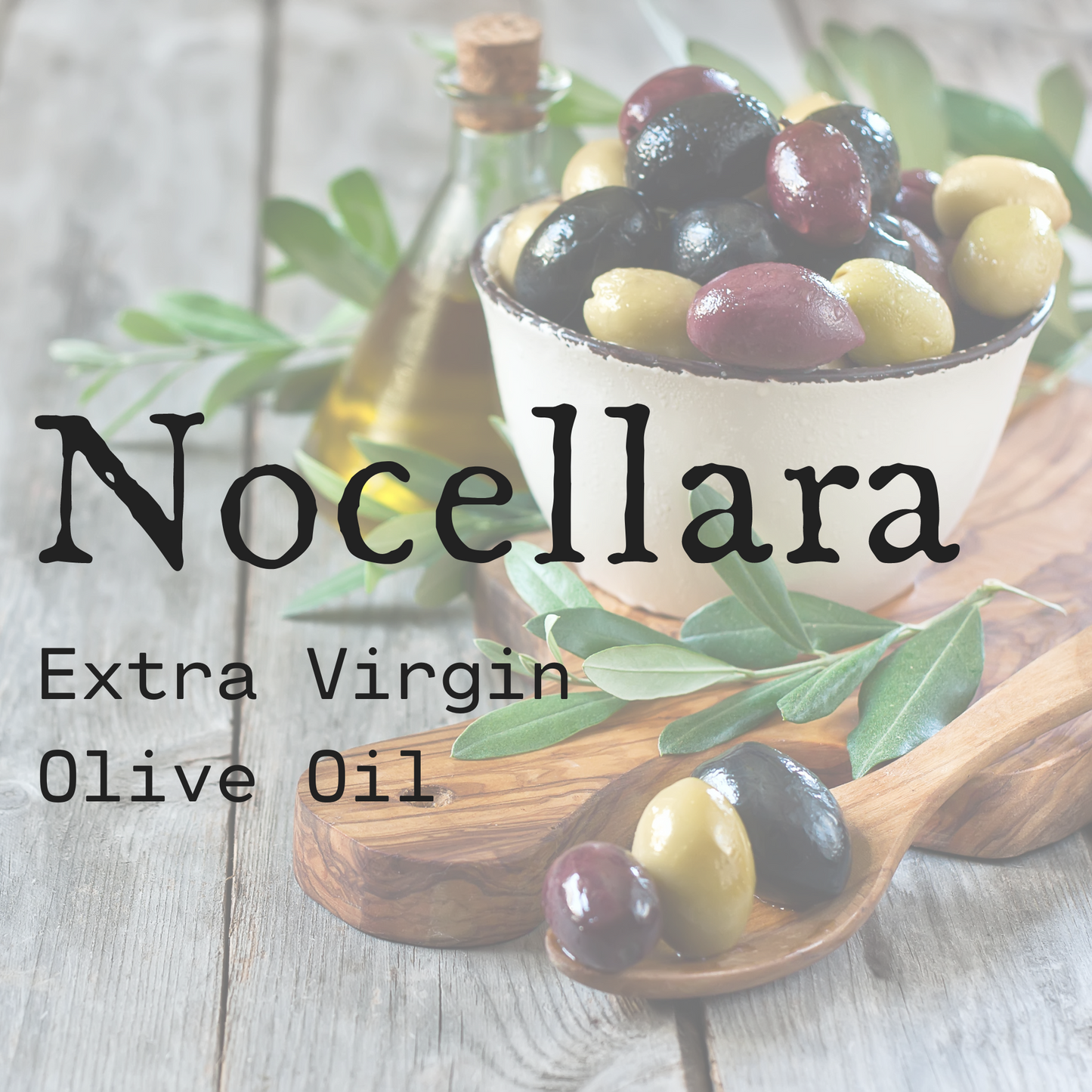 Nocellara