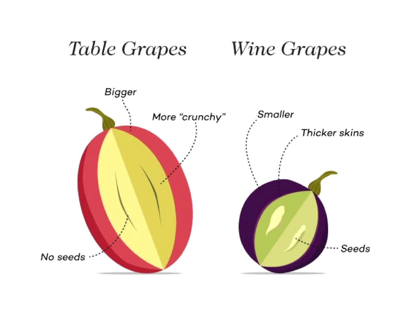 Gourmet & Premium Sea Salt Caramel Chardonnay Wine Raisins®