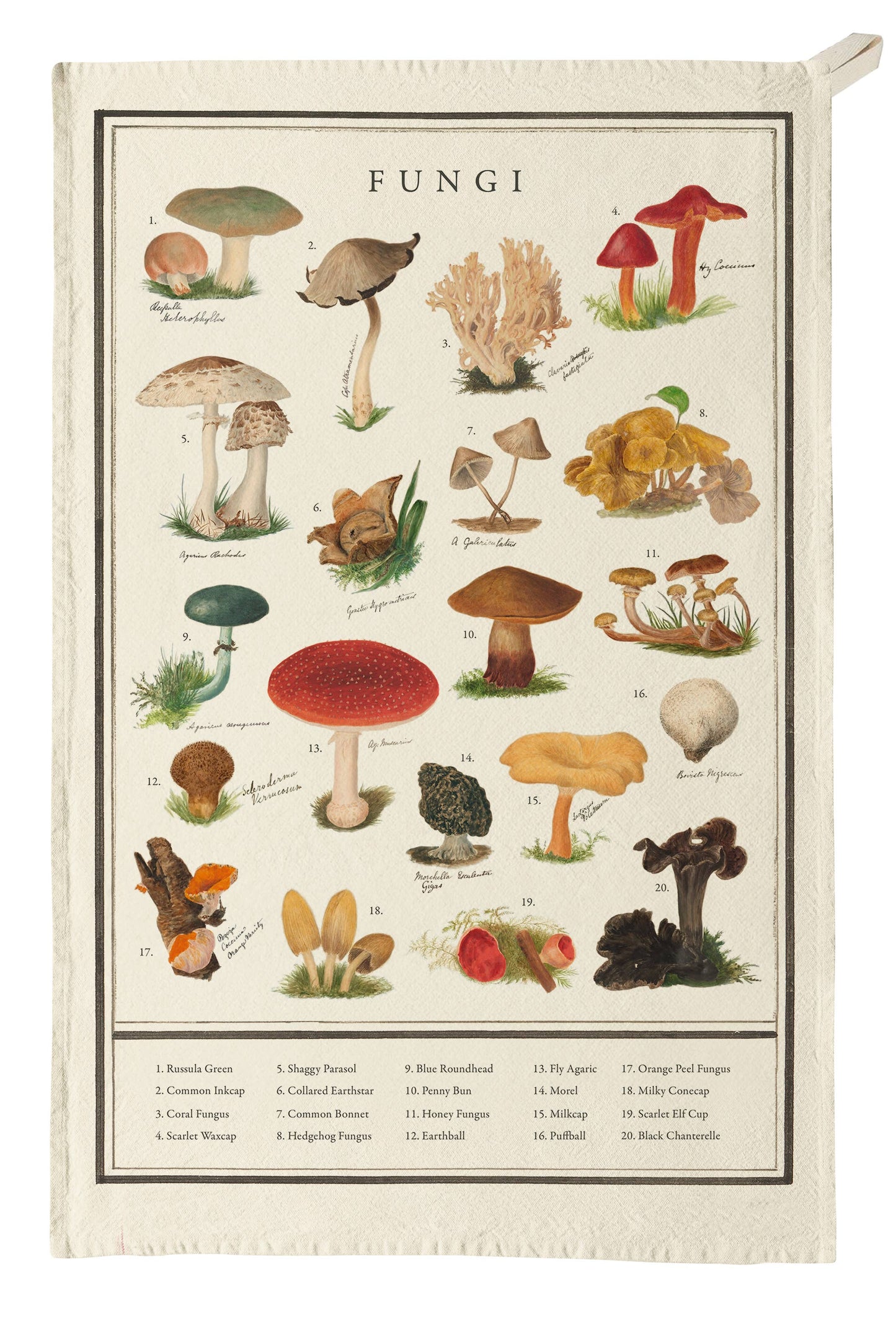 Organic Cotton Tea Towel