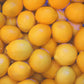 Lemon Champagne