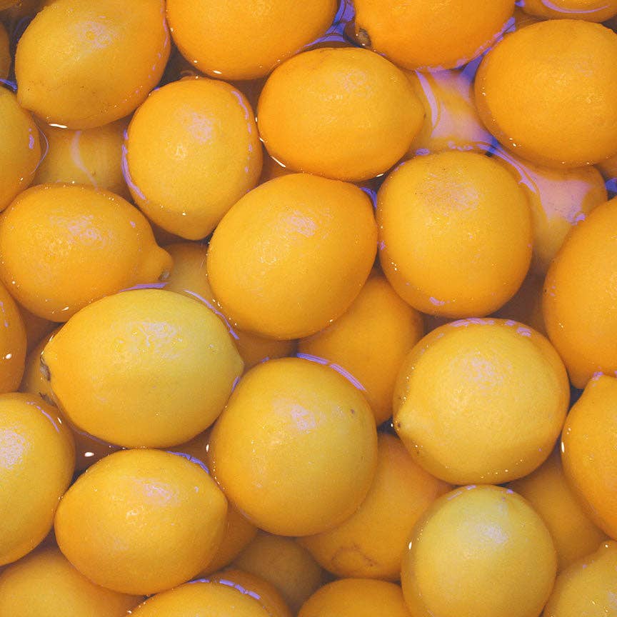 Lemon Champagne