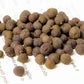 Sweet Allspice