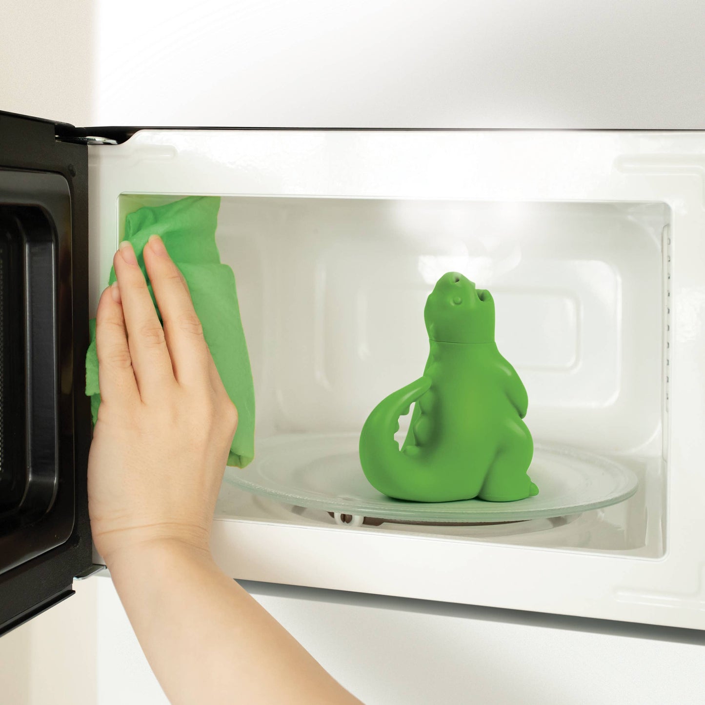 Microwave Steam Cleaner
