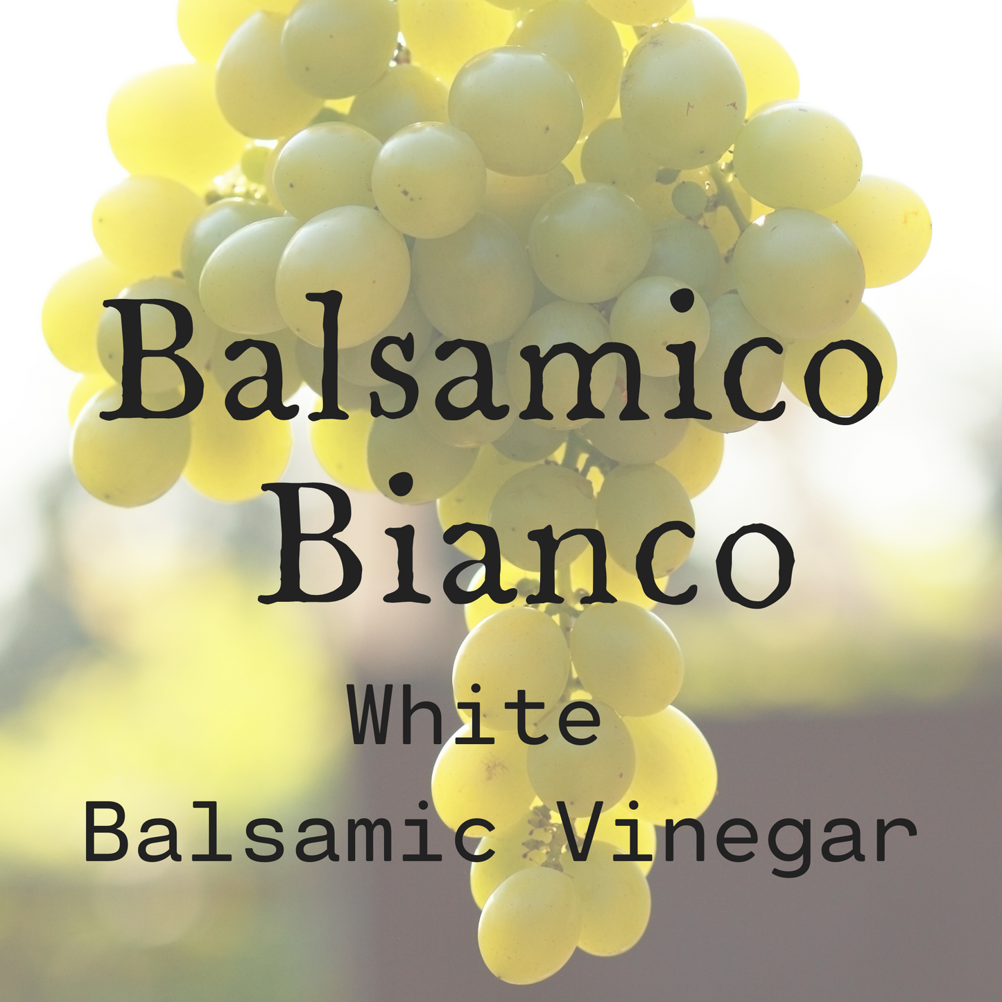Balsamico Bianco White Balsamic Vinegar