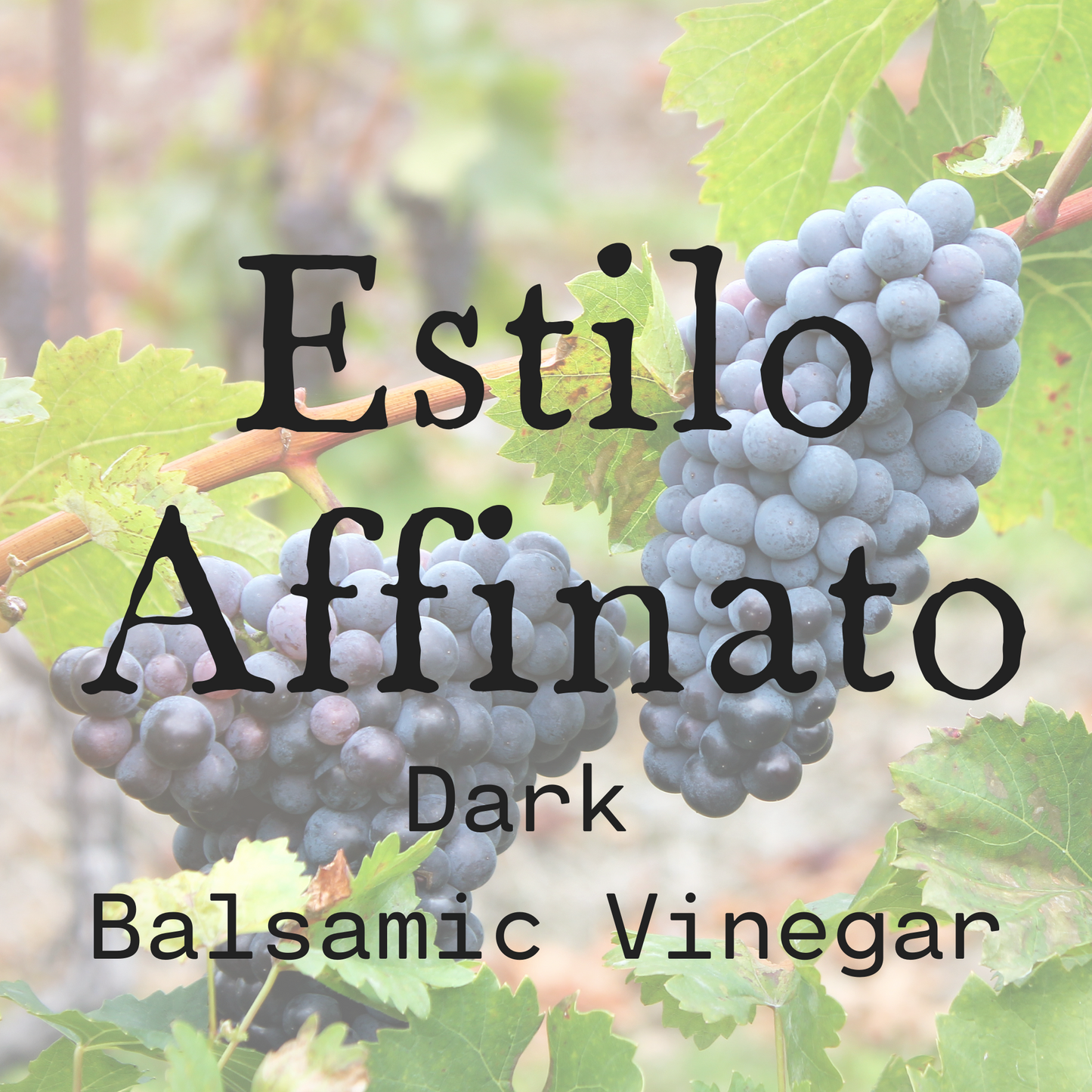 Estilo Affinato Dark Balsamic Vinegar